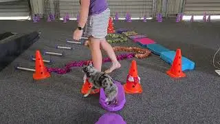 Happy Holidays! Christmas tree fitness circuit
