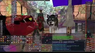 Sep 7 Brood Conqueror