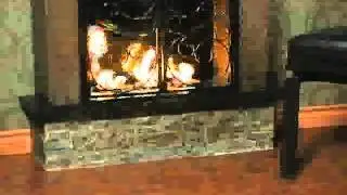 Aspen Portable Indoor Or Outdoor Gel Fuel Fireplace by Southern Enterprises