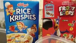 FROOT LOOPS RICE KRISPIE TREATS