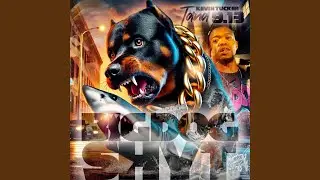 Big Dog Shyt (Radio Edit)