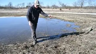 How To Plant Live Stakes