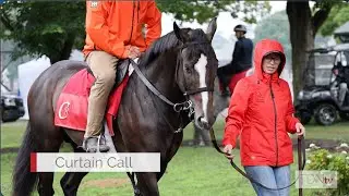 Tiz the Law&rsquo;s Curtain Call On Track for Hopeful