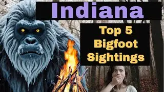 Top 5 Indiana Bigfoot Sightings! State Forest Campgrounds are Stomping Grounds For Hairy Creature