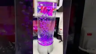 A Perfect Gift &ndash; Relaxing Bubble Fish Lamp for Loved Ones