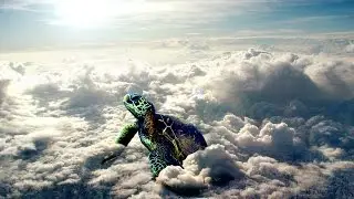 Photoshop Tutorial Simple Animal Manipulation Sea Giant Turtle