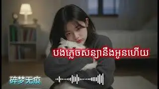 បទកំពុងពេញនិយម ២០២៦ បទចិន chinese sad song ចេញថ្មី 🎵新歌发布，悲伤的歌​ New release, sad song💔