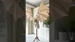 Outtakes from the walkthrough video for the Dragon wings template. #dragonwings