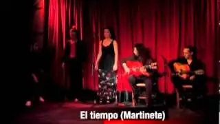 Noches de Flamenco - Flamenquísimo
