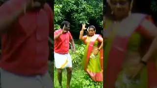 🕺💃🦜🦚💝🔥Sivakumar Hits | Village Vibe Cover | Namakkalcinema