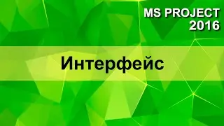 MS Project 2016 Interface