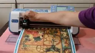 Direct Cut Overlay Instructional Video with Liz Hicks