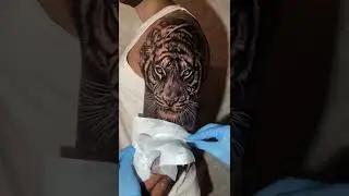 Super Tiger tattoo work video tattoo art #tattooart #tattooartist #tattoolife #yuelong #emalla