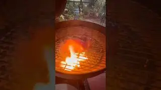 NYStrip steaks on my Recteq Bullseye Deluxe B380X #carnivore #beef #food