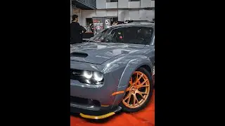 Novus 22 | Autoshow