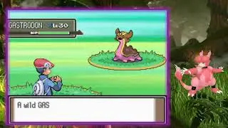 LIVE SHINY HUNTING GEN 4 MAGMAR