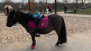 Lola gaat mee op familiebezoek in Den Bosch