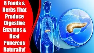 8 Foods & Herbs That Produce Digestive Enzymes & Heal Pancreas Naturally!  | Love Healthy Life