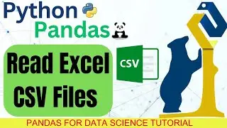 Read  Excel CSV File In Python Pandas