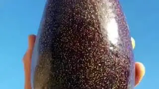 Purple Avocado