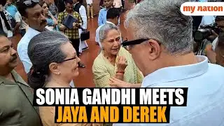 Sonia Gandhi Meets Jaya Bachchan and Derek O'Brien During INDIA Bloc Protest in Parliament
