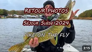 FlyzFishing - P&ecirc;che &agrave; la mouche brochet Su&egrave;de 2024