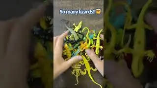 Would you ever EAT a LIZARD????😱🦎 lizard toy review!!✨