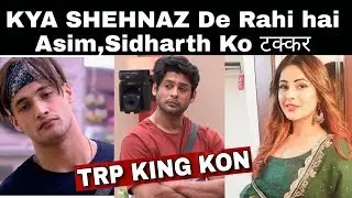 Bigg Boss 13 | Asim Vs Shehnaz Vs Shukla | Who Is TRP King Of Bigg boss 13