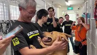 Karcher Clean Up Day 2025 @ Action for Singapore Dogs