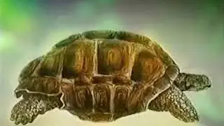 Lost Animals (1995). Seychelles Marion's Giant Tortoise. Extinct 1918 (Rediscovered 1995).