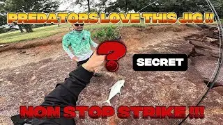 SECRET JIG UNLOCKED‼️ Predator Fish Go CRAZY‼️