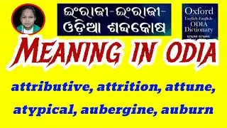 attributive, attrition, attune, atypical, aubergine, auburn Meaning In Odia & English