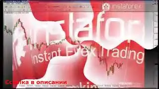 Hot forex брокер официальный сайт
