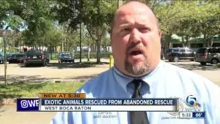 Exotic animals rescued from abandoned rescue