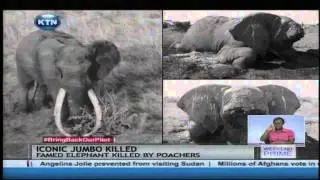 Kenya's iconic elephant 