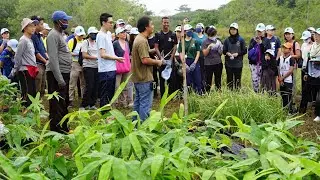 Taylor's University #taylorsimpactlabs #MYbamboo: CoRE Bamboo & Vetiver Planting