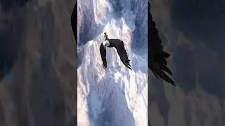 #eagle #sky #rider #bird 😎