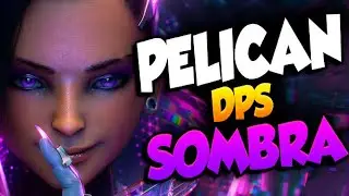 Pelican DPS Sombra Meta? [ Overwatch Season 30 Top 500 ]