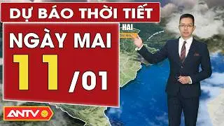 Dự báo thời tiết mới nhất ngày mai 11/1: Bắc Bộ rét đậm, rét hại; Trung Bộ mưa | ANTV