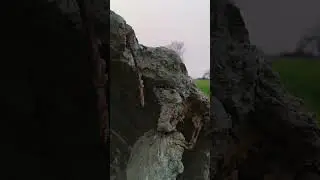 Winter in village ##youtubeshorts #viralshorts #trendingshorts #youtubeshorts #youtubefeed