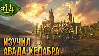 Шахты гоблинов ➤ Hogwarts Legacy ➤ Прохождение #14