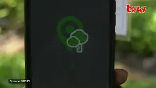 farmers using 'my geo farm' app to monitor planted trees