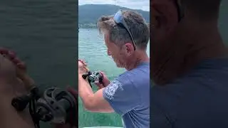 Siluro lago d&rsquo;Iseo