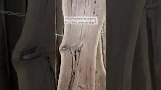 What&rsquo;s better than this walnut slab? 👀 #bookmatch #walnut #slab #wood #woodworking #diy #shorts