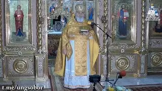 Rev. Anthony and imitation in his time of satanic judgment. 01/30/2024, Archpriest Dimitriy Sydor