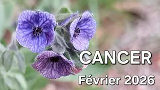 CANCER ♋️ Énergies février 2026 #guidance #cancertarot #févier2026