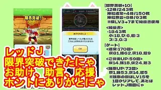 【妖怪ウォッチぷにぷに】百物語、レッドJ限界突破、お助けに助言や応援ホントにありがとにゃ バトル大運動会