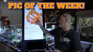 Pic Of The Week! The Oranges Are So Intense!
