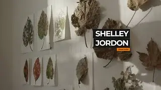 Shelley Jordon, visual artist 2024