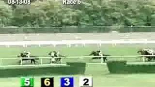 ARLINGTON PARK, 2008-08-13, Race 5